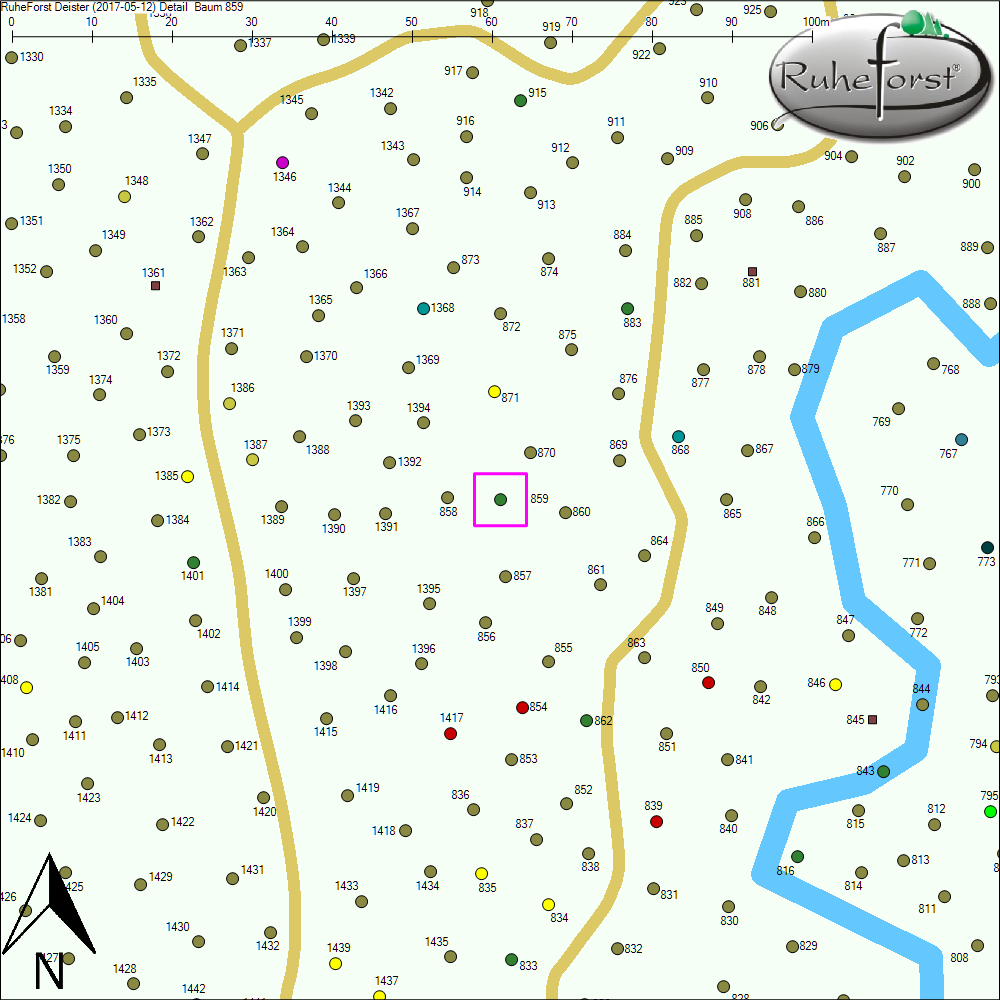 Detailkarte zu Baum 859