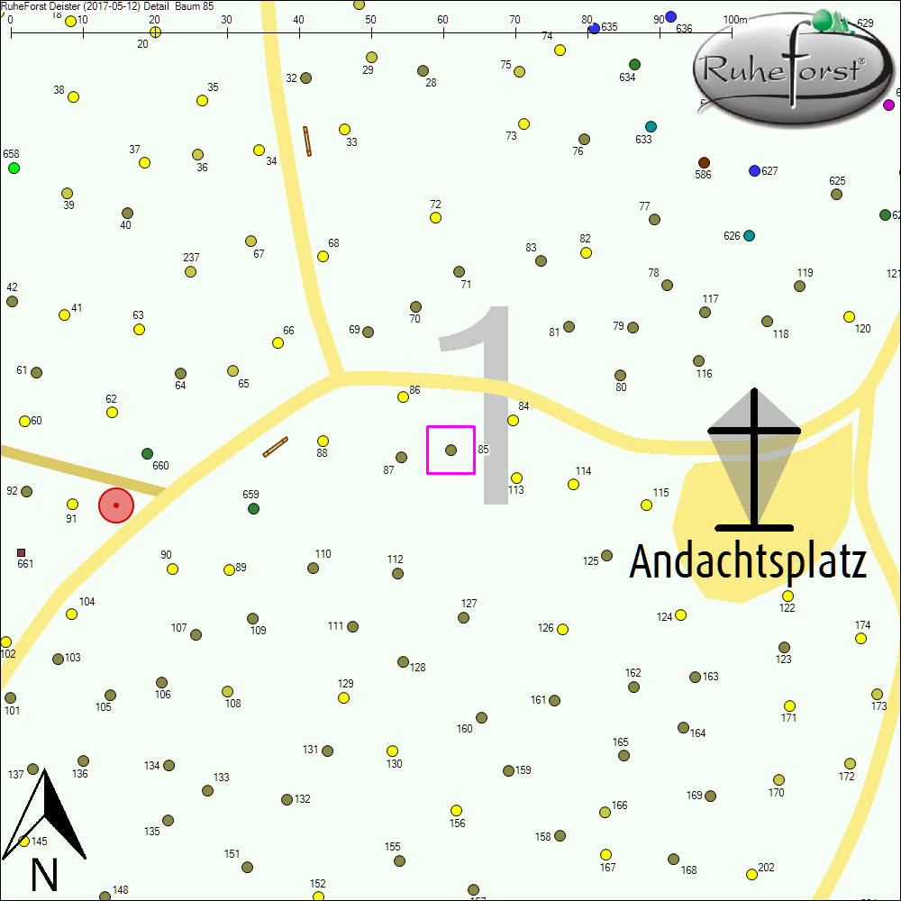 Detailkarte zu Baum 85