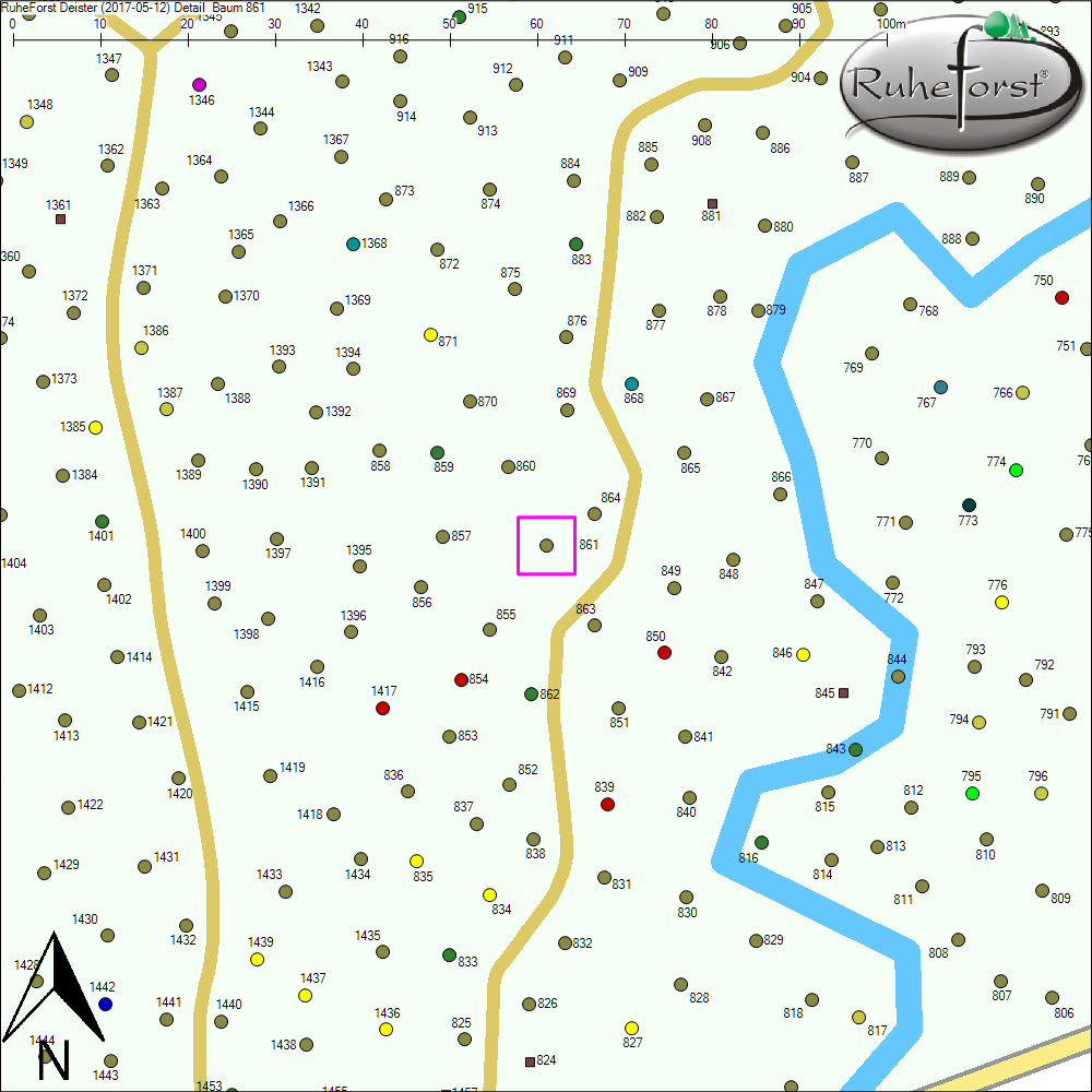 Detailkarte zu Baum 861