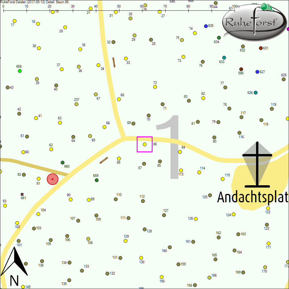 Detailkarte zu Baum 86