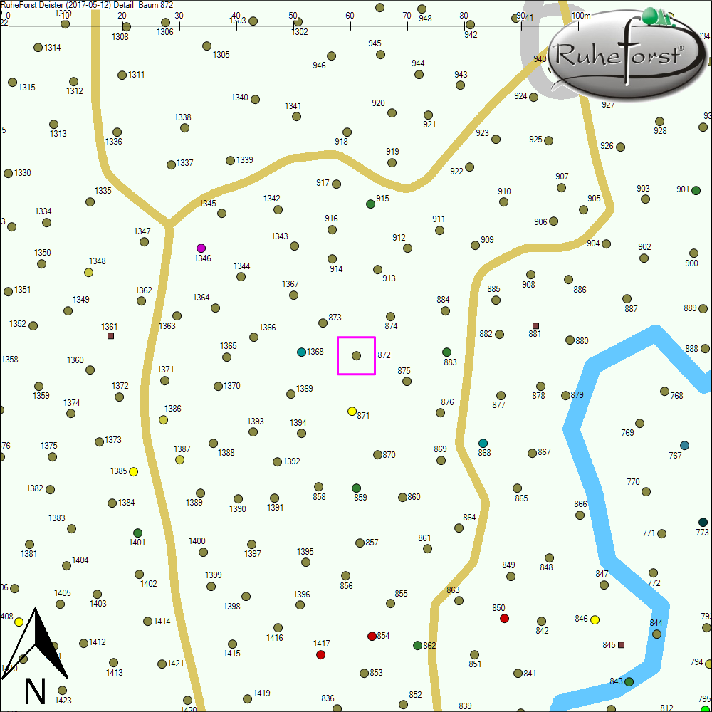 Detailkarte zu Baum 872