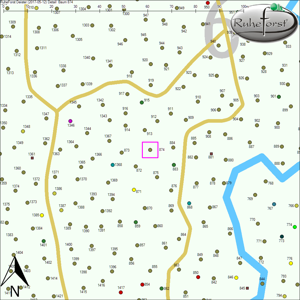 Detailkarte zu Baum 874