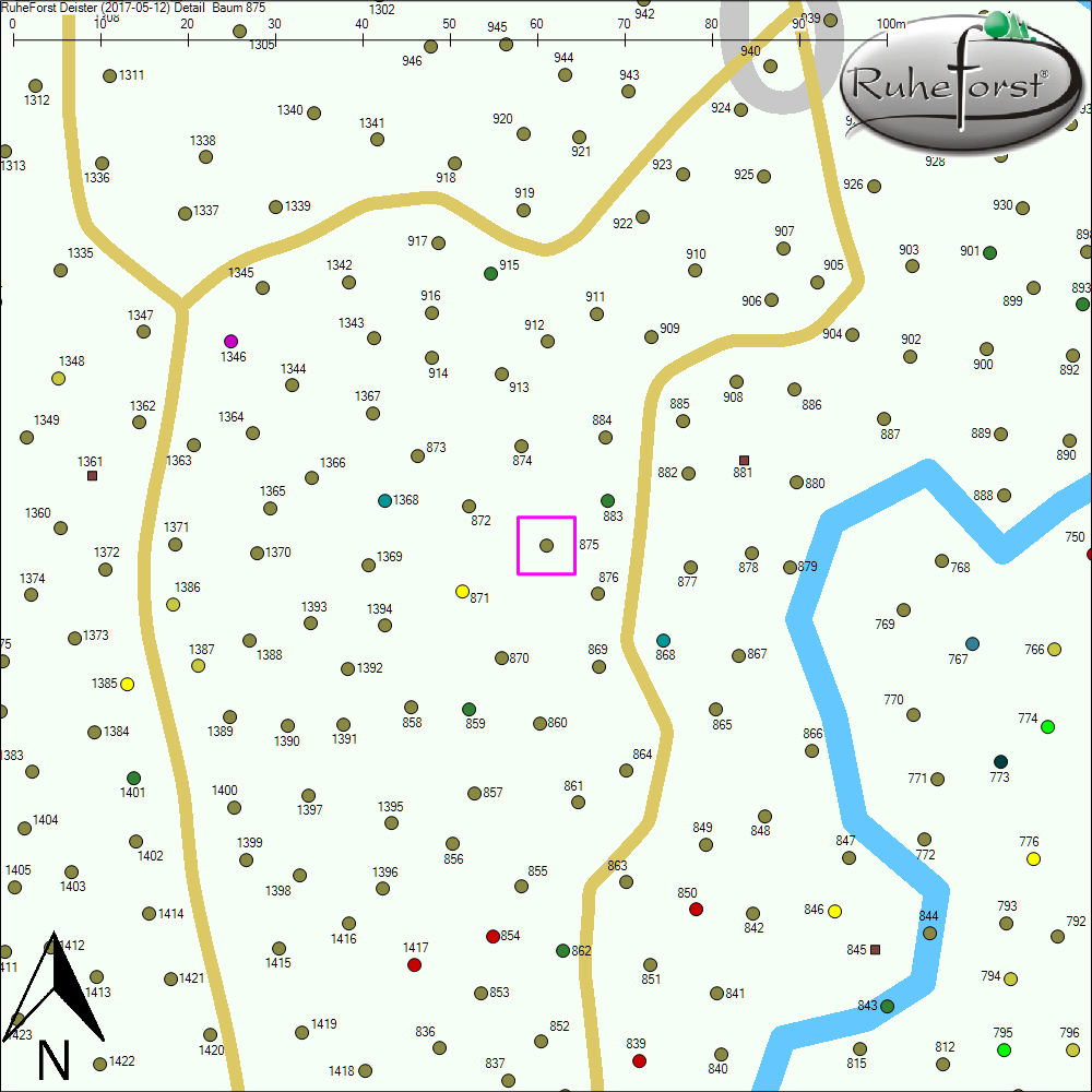 Detailkarte zu Baum 875