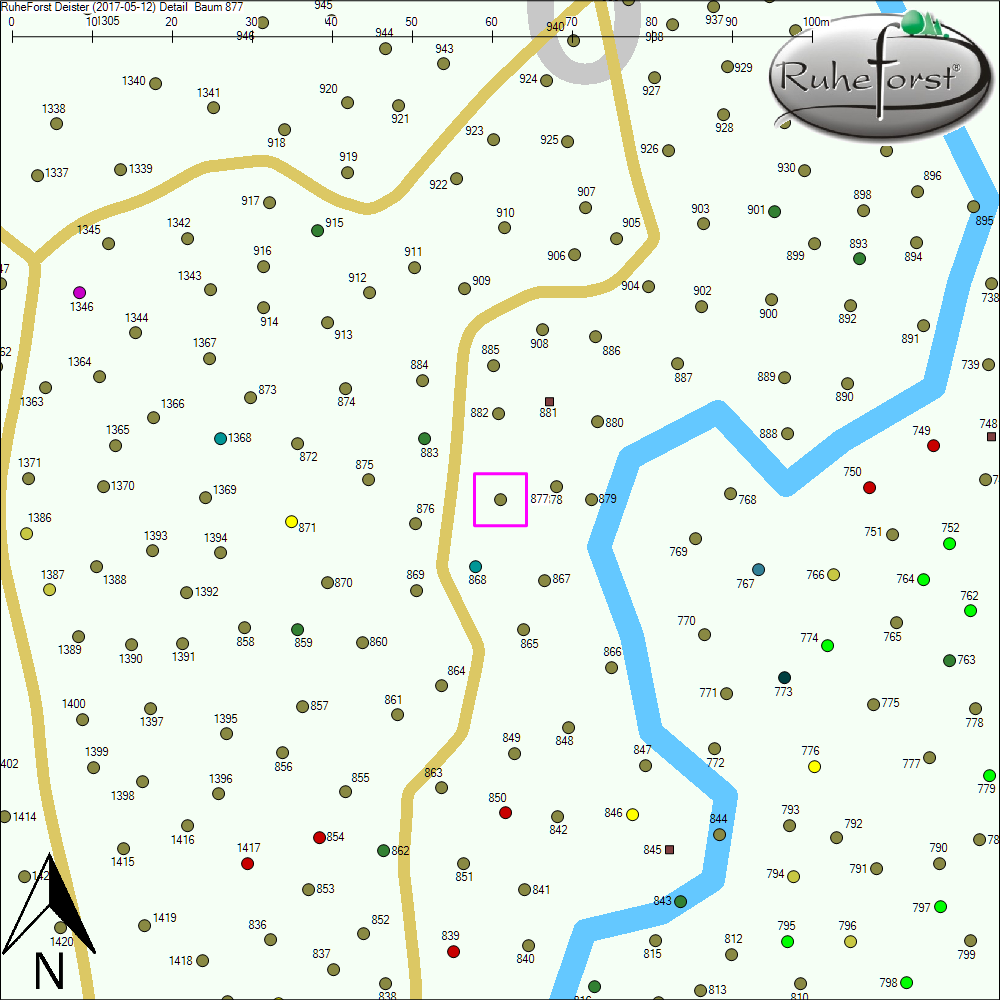 Detailkarte zu Baum 877