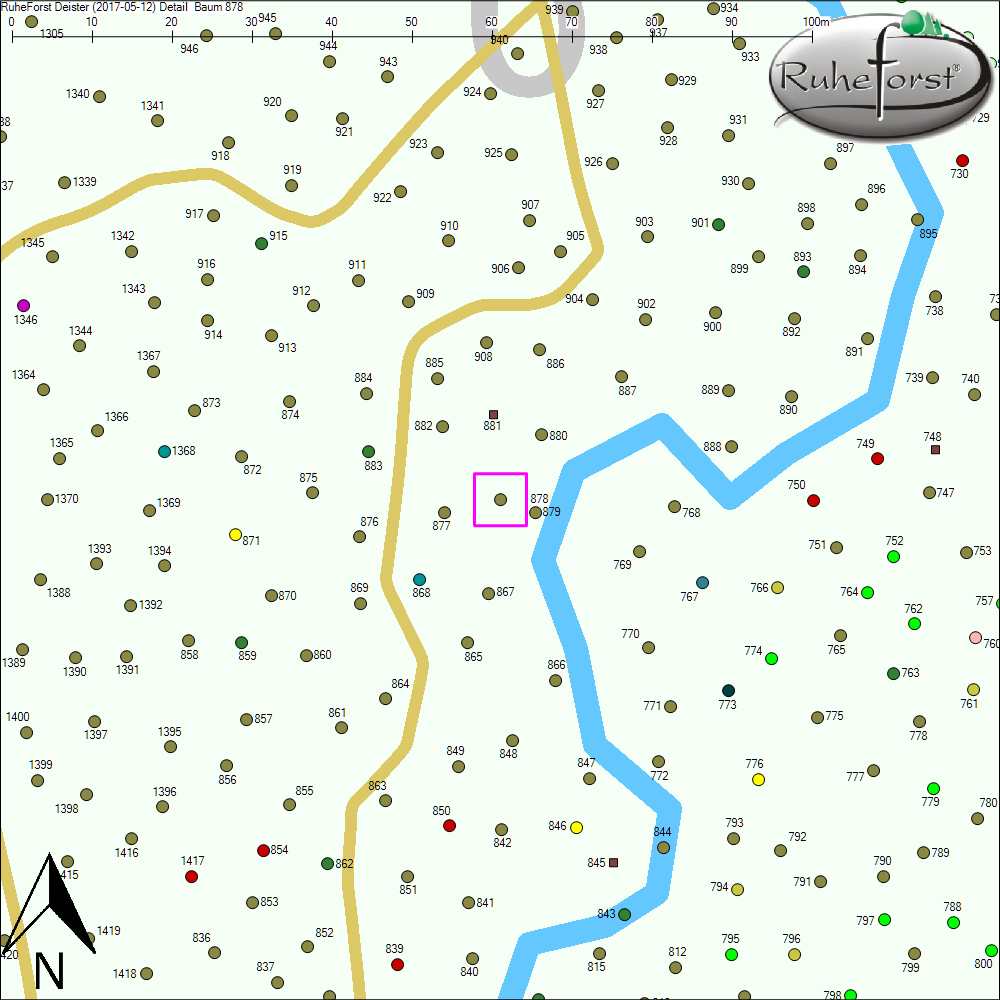 Detailkarte zu Baum 878
