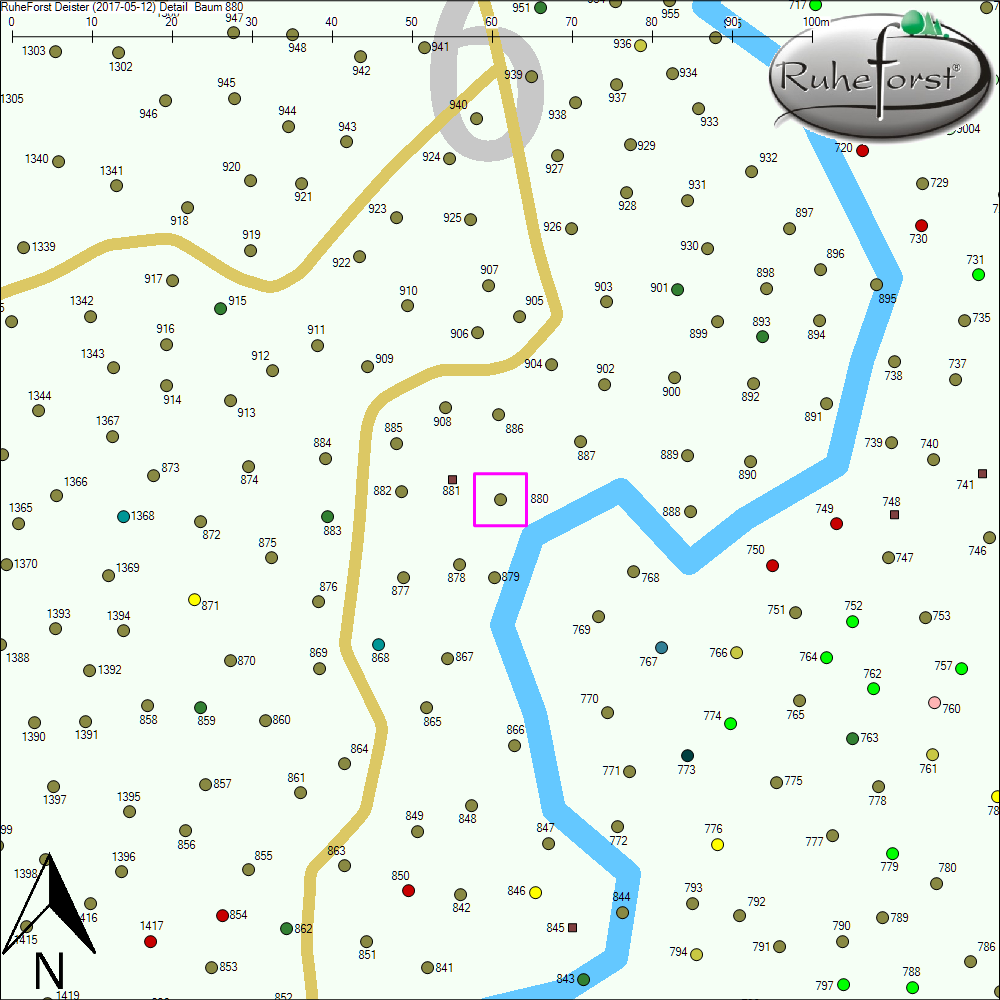 Detailkarte zu Baum 880