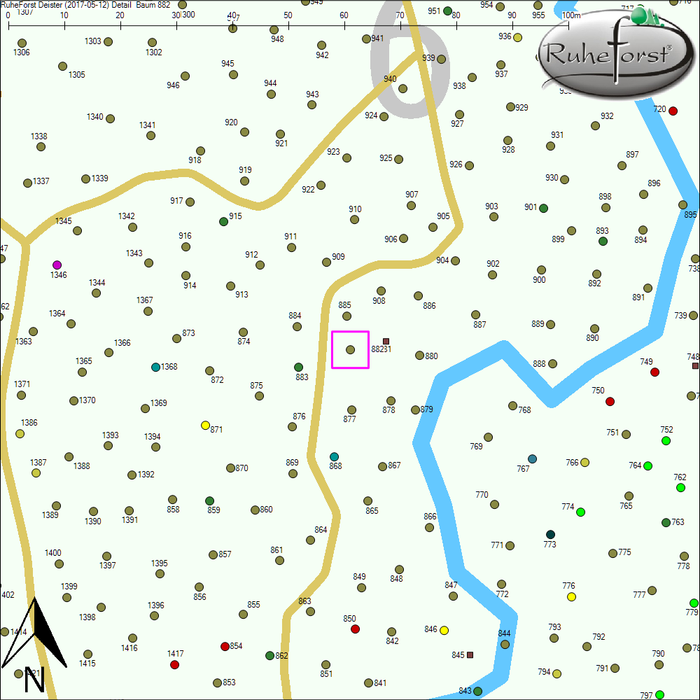 Detailkarte zu Baum 882