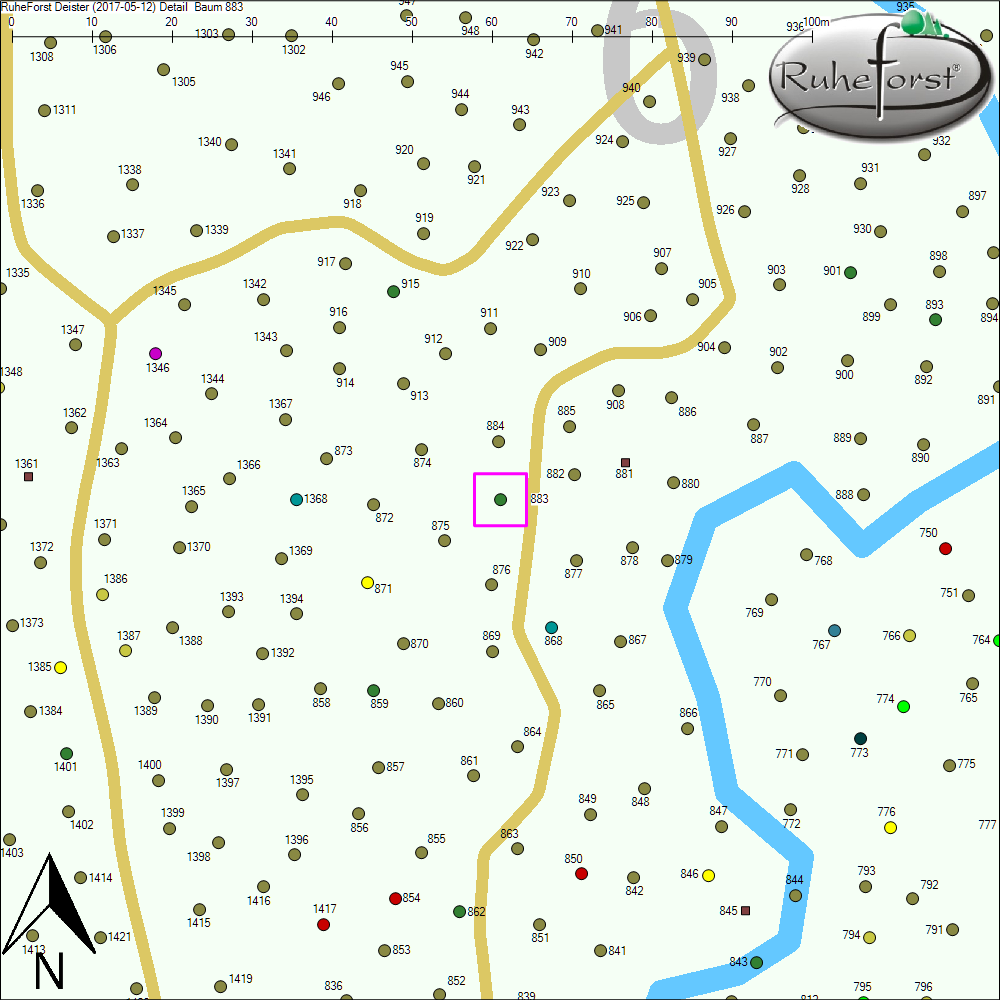 Detailkarte zu Baum 883