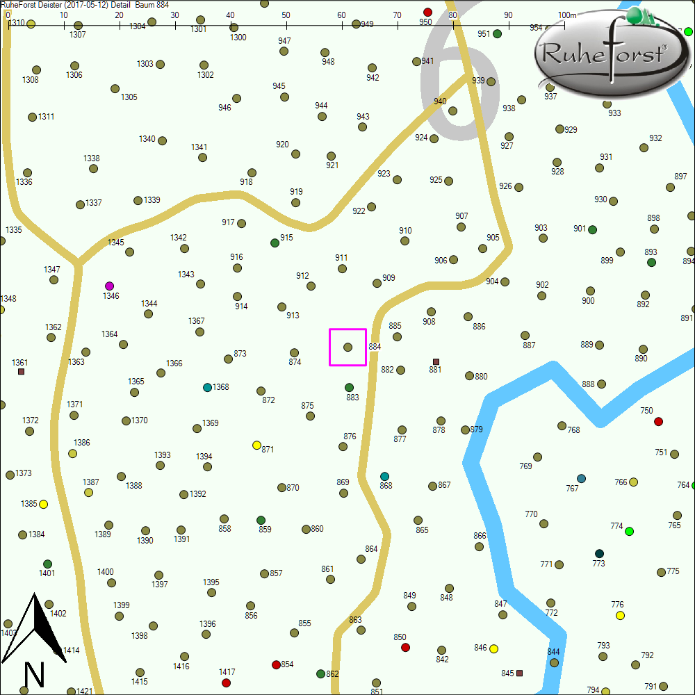 Detailkarte zu Baum 884