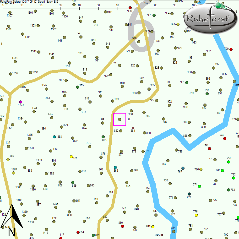 Detailkarte zu Baum 885