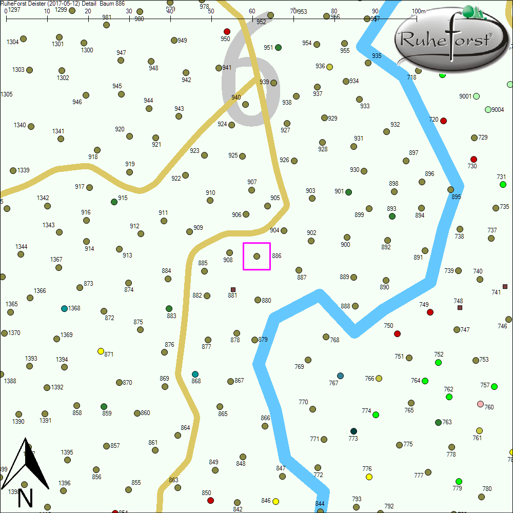 Detailkarte zu Baum 886