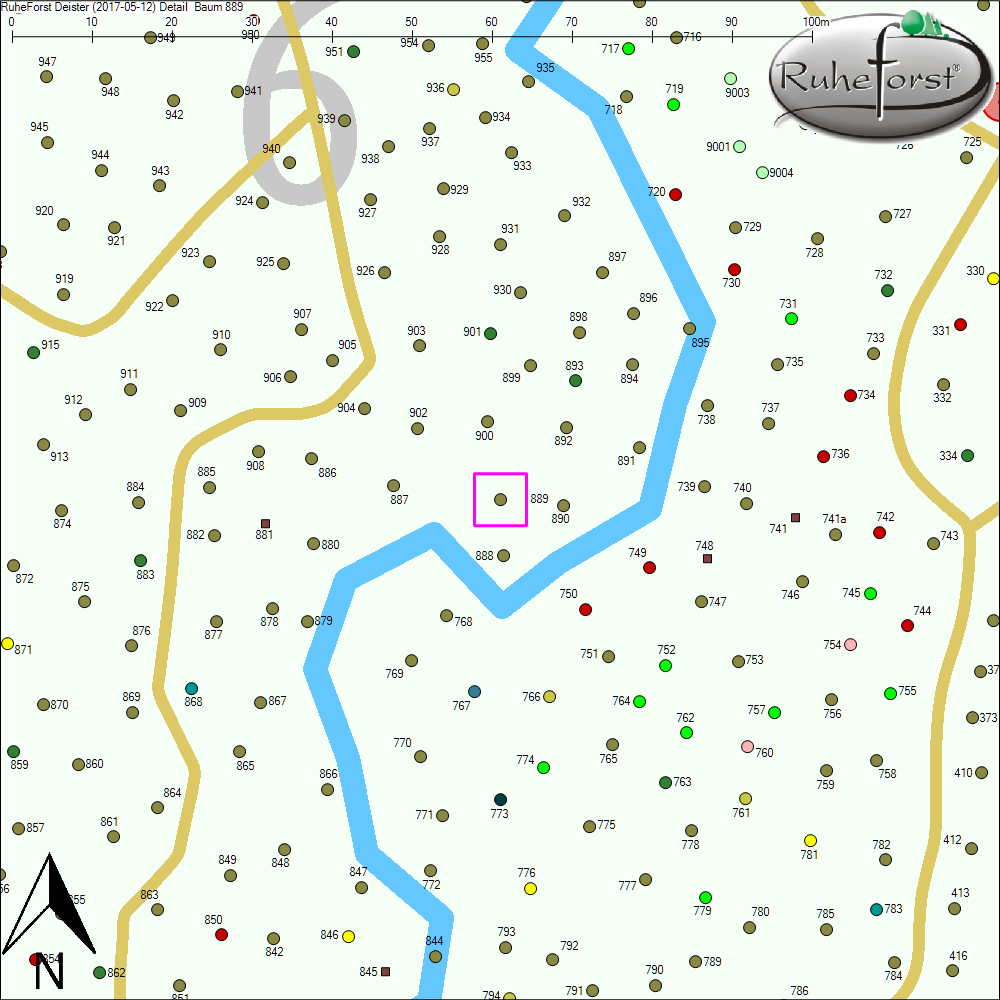 Detailkarte zu Baum 889