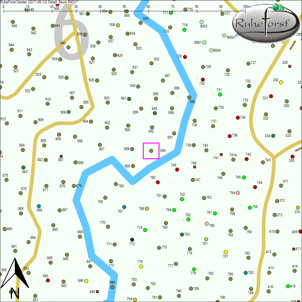 Detailkarte zu Baum 890