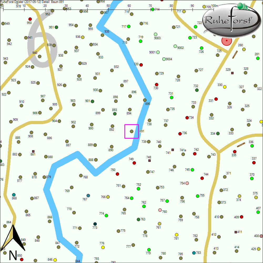 Detailkarte zu Baum 891