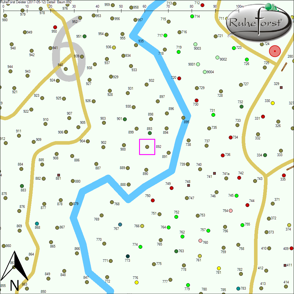Detailkarte zu Baum 892