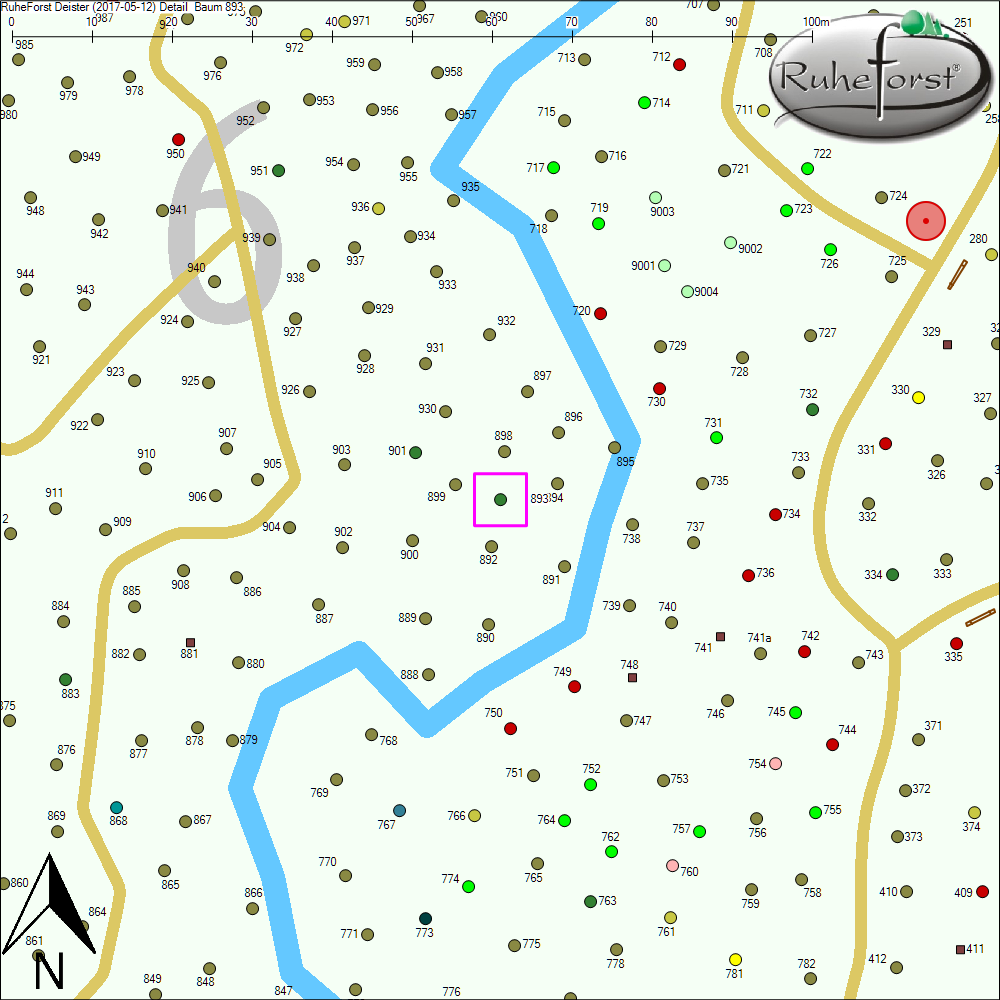 Detailkarte zu Baum 893