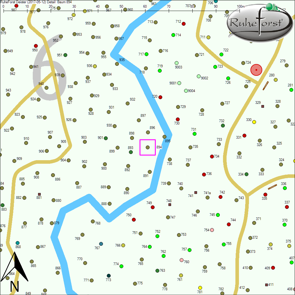 Detailkarte zu Baum 894