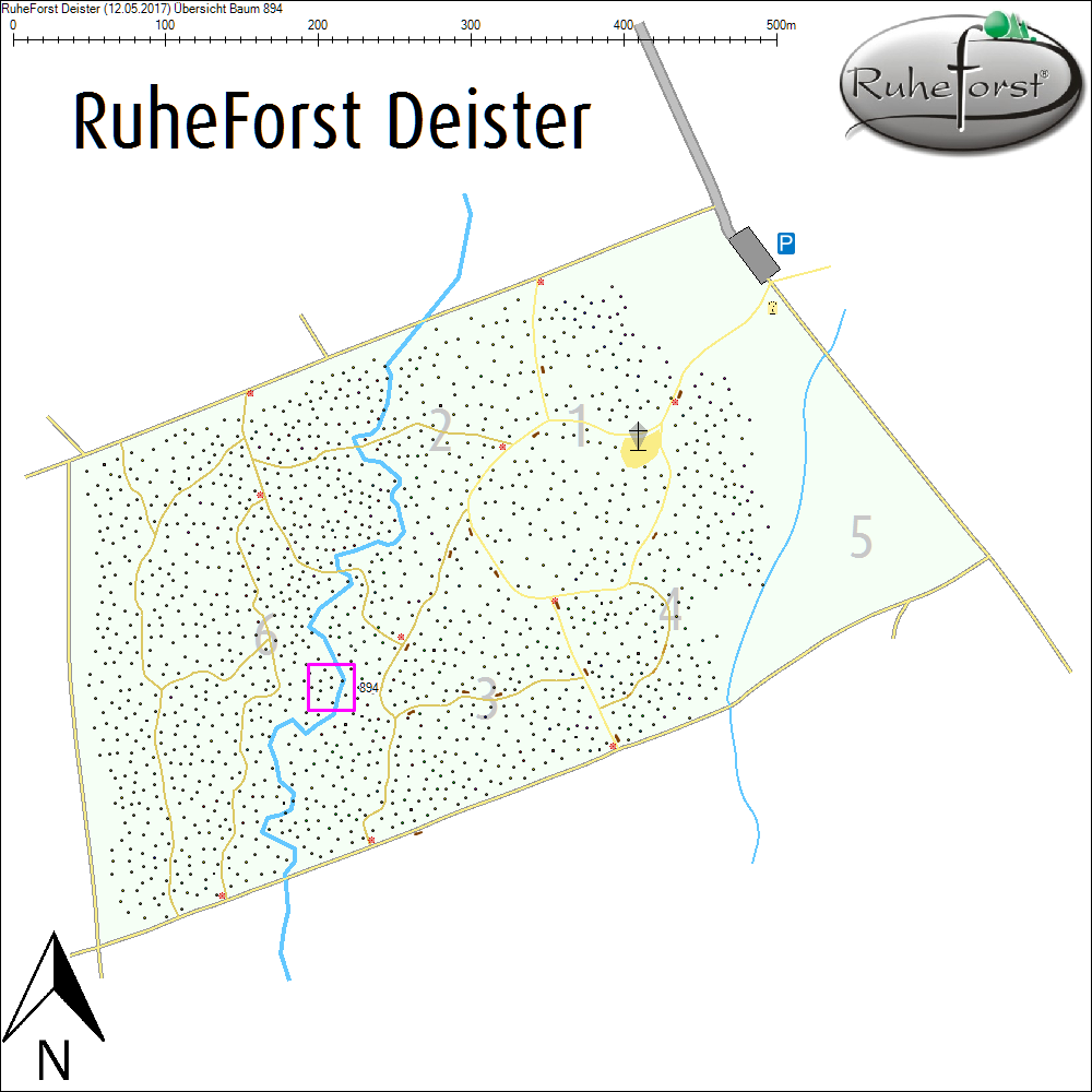 &Uuml;bersichtskarte zu Baum 894