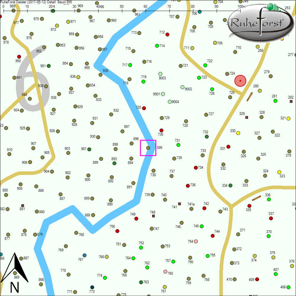 Detailkarte zu Baum 895