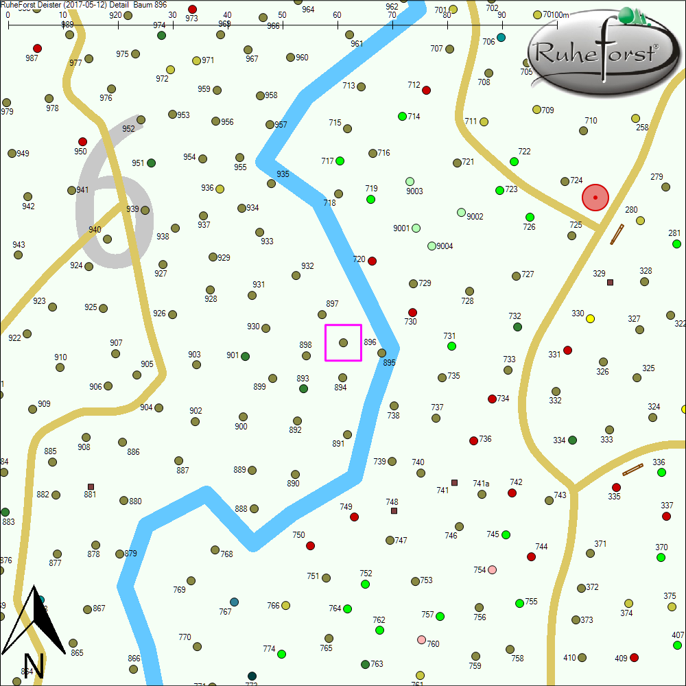 Detailkarte zu Baum 896