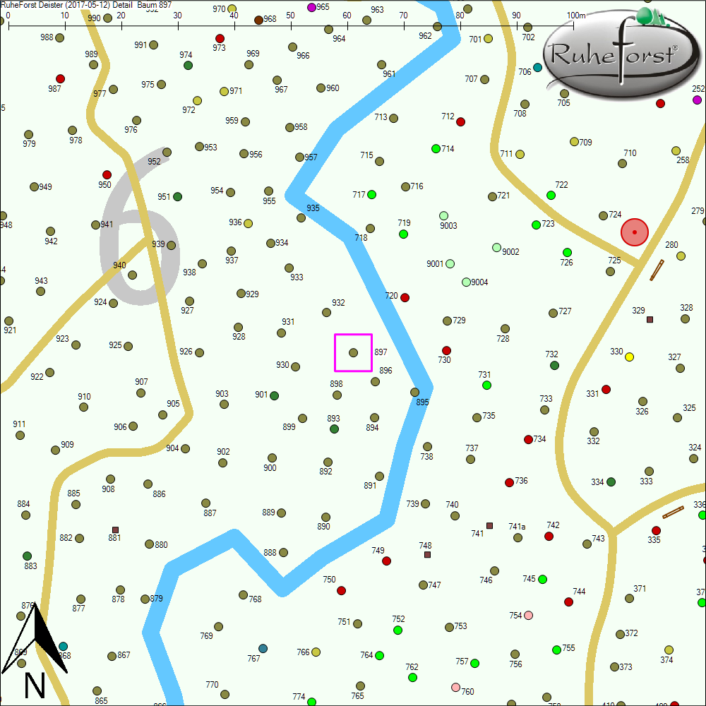 Detailkarte zu Baum 897