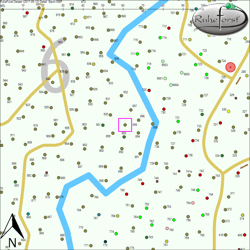 Detailkarte zu Baum 898