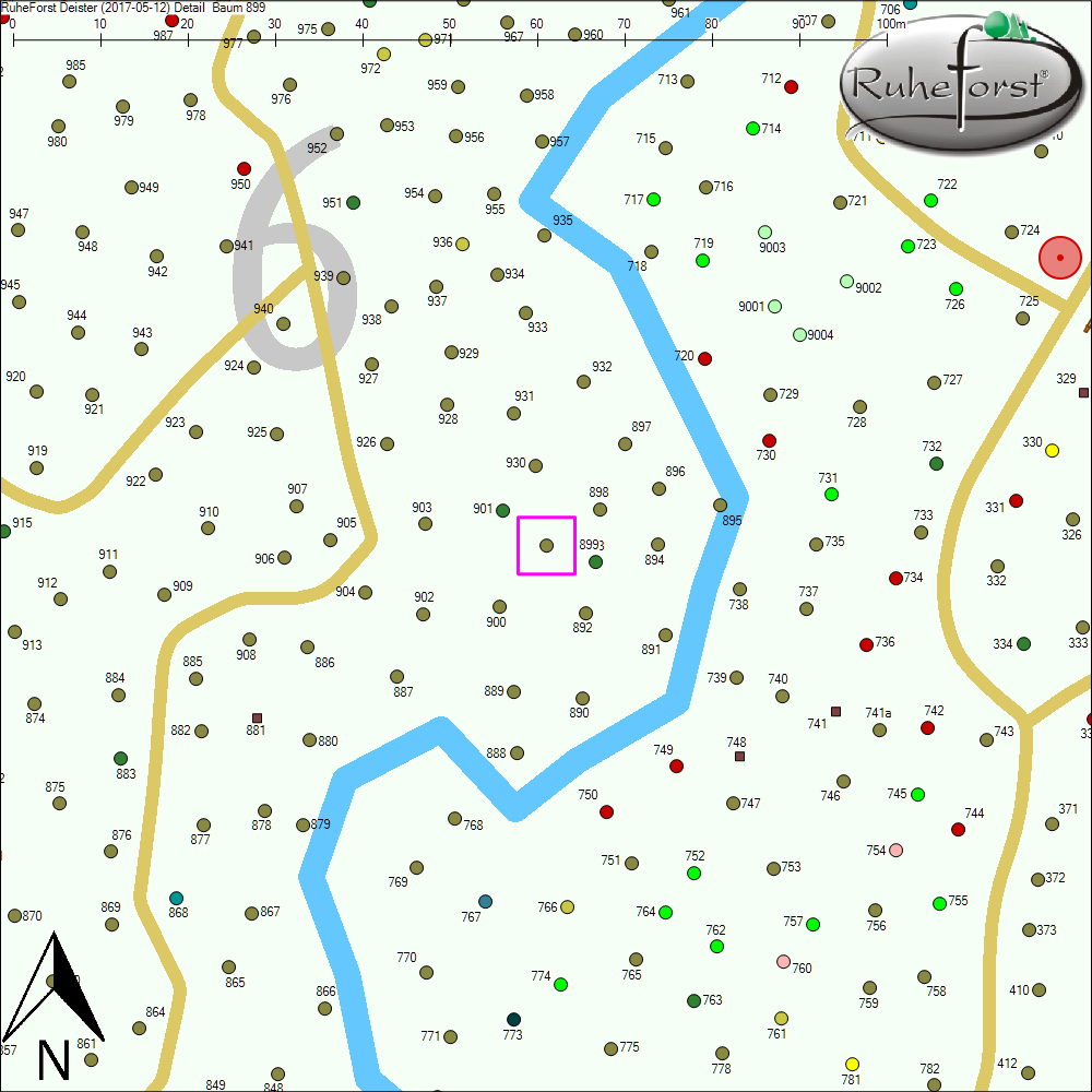Detailkarte zu Baum 899