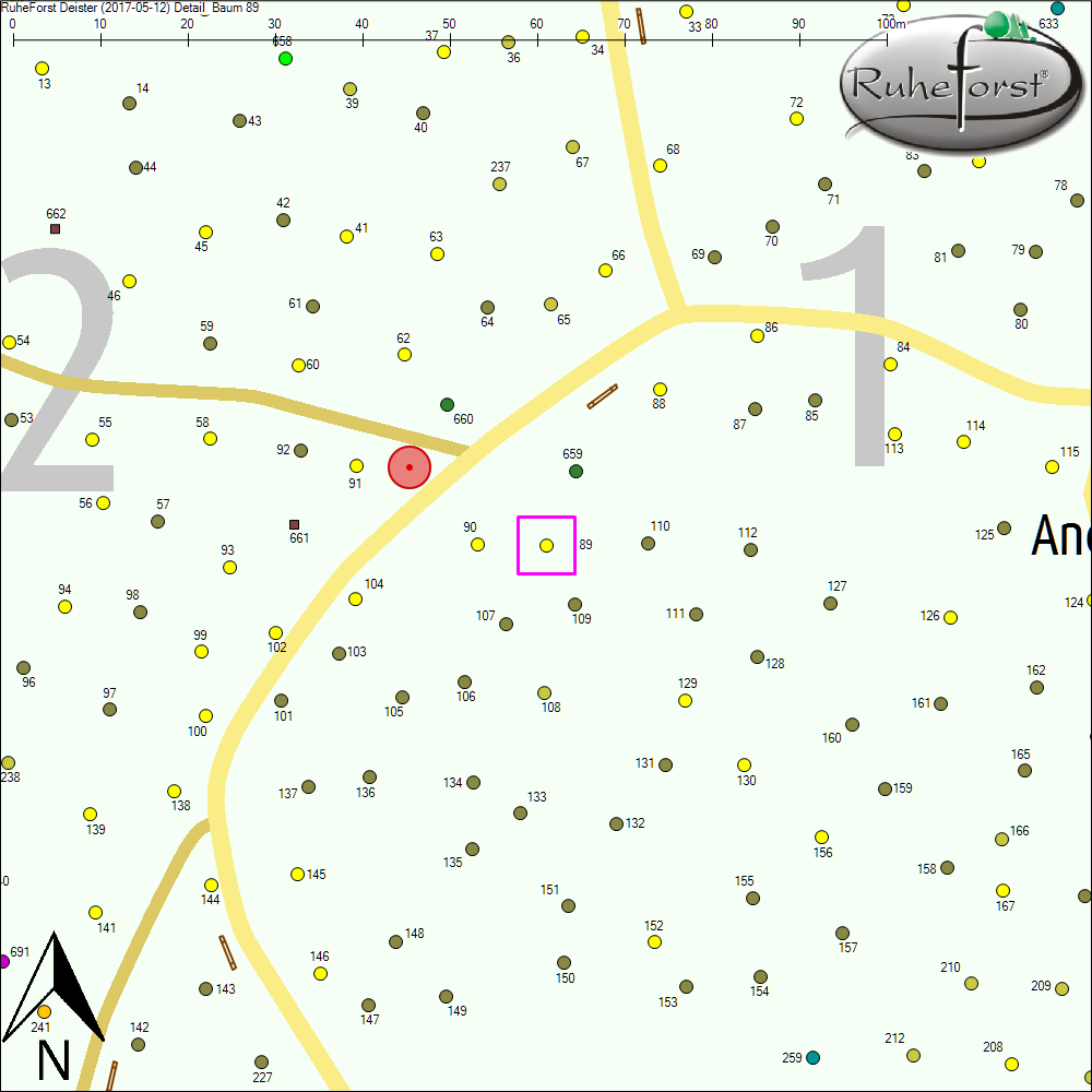 Detailkarte zu Baum 89