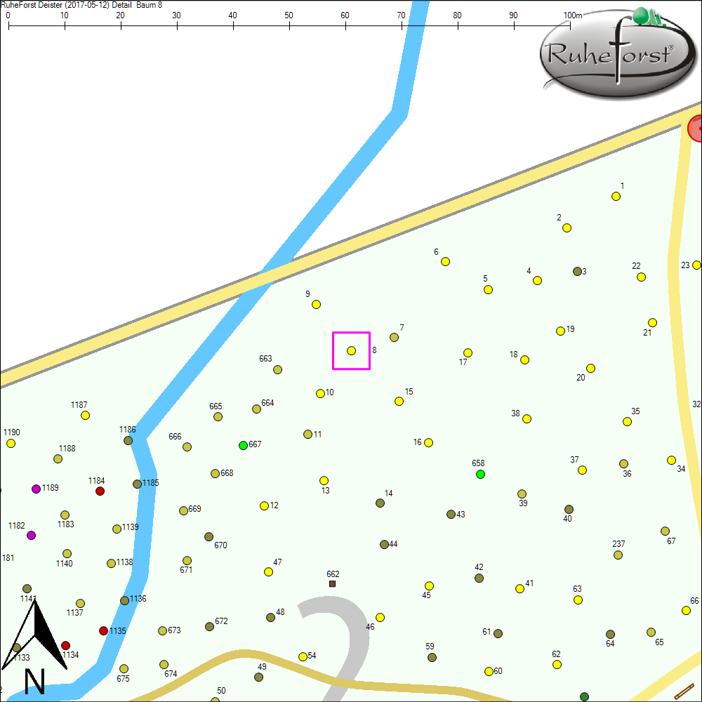 Detailkarte zu Baum 8