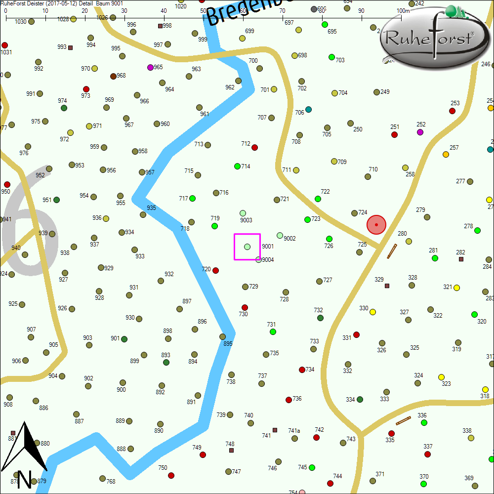 Detailkarte zu Baum 9001