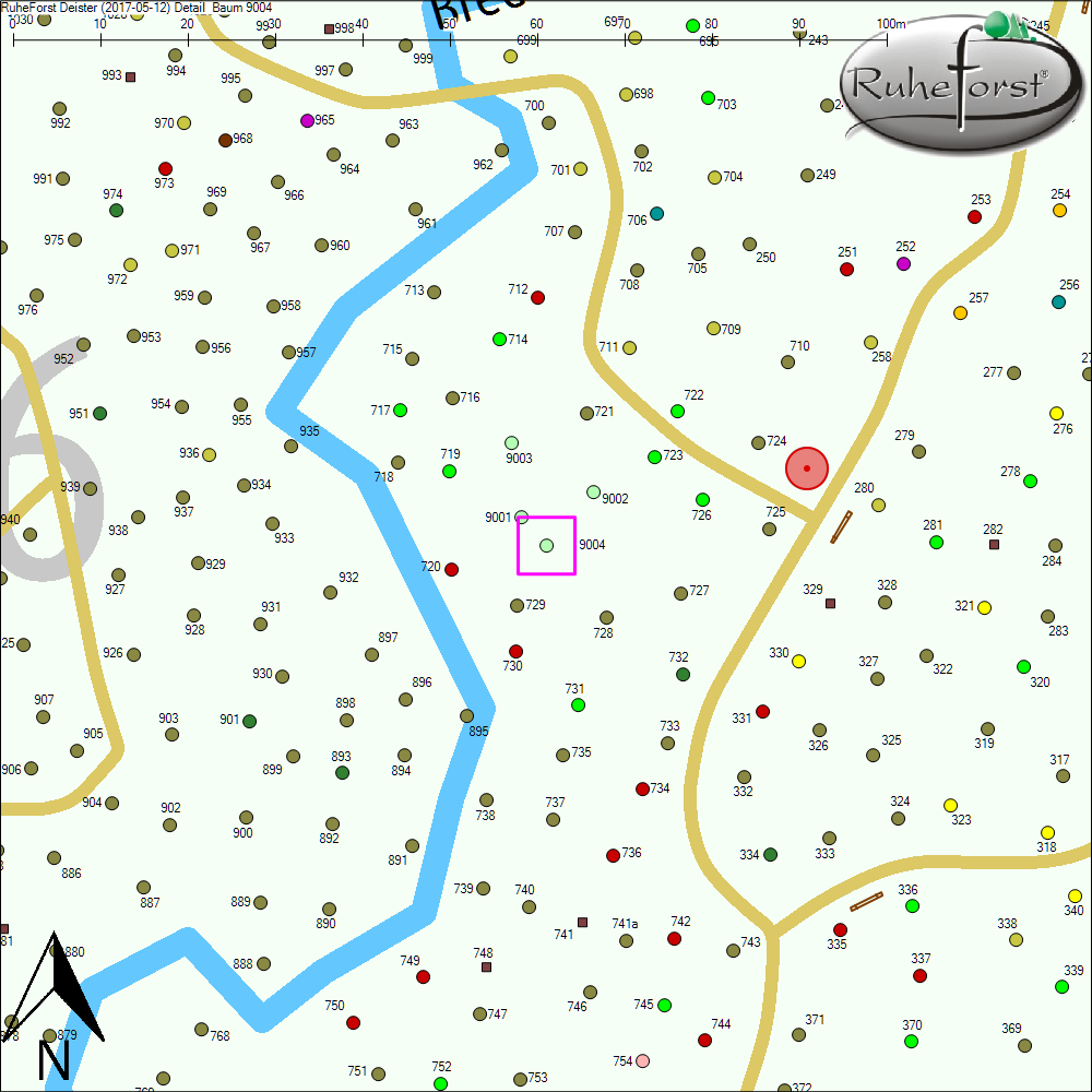 Detailkarte zu Baum 9004