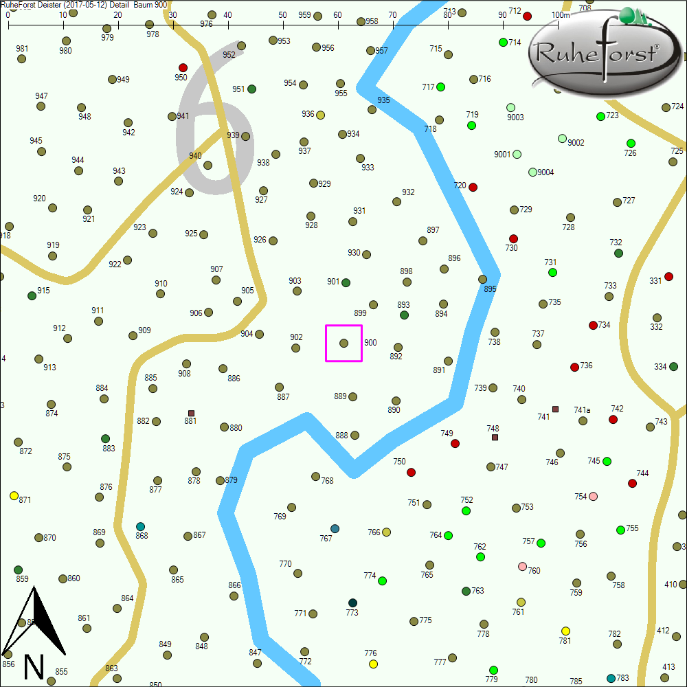 Detailkarte zu Baum 900