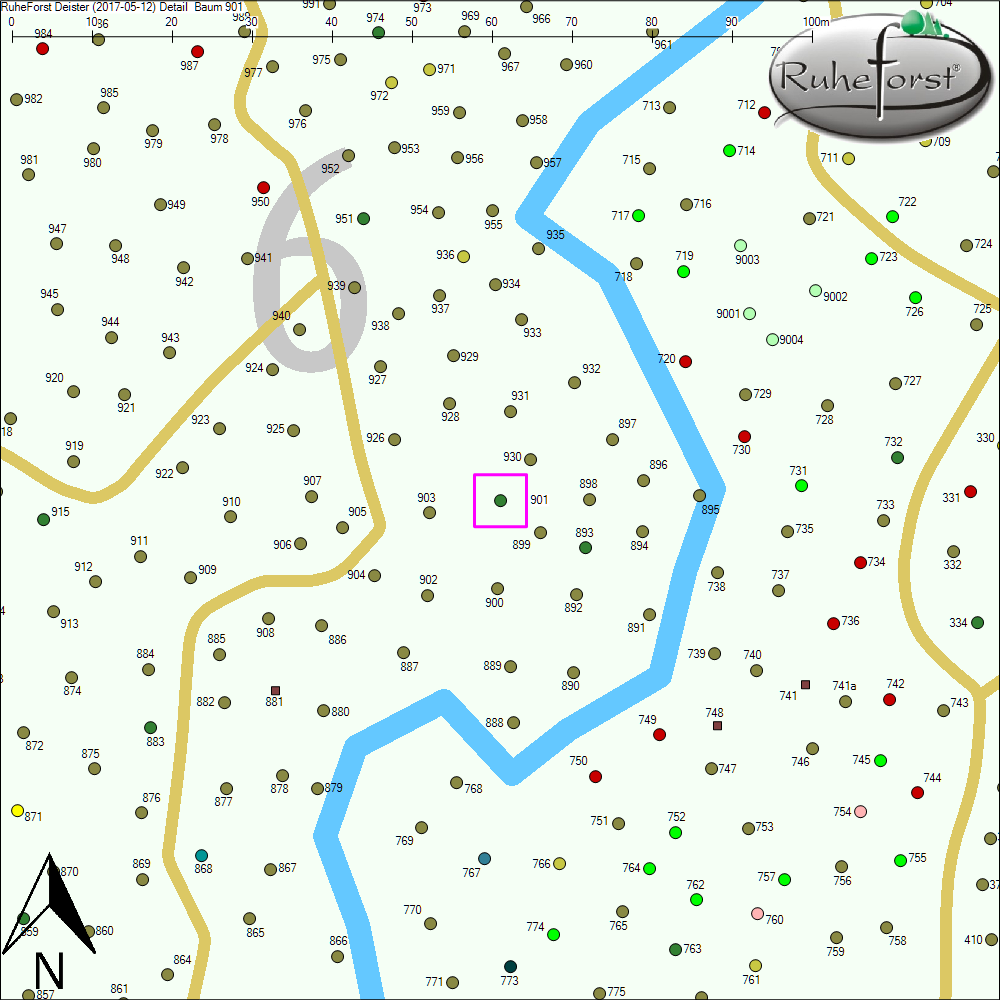 Detailkarte zu Baum 901
