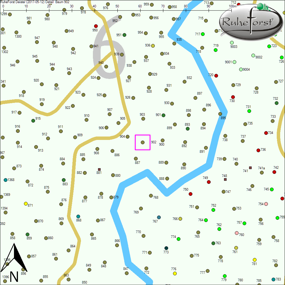 Detailkarte zu Baum 902