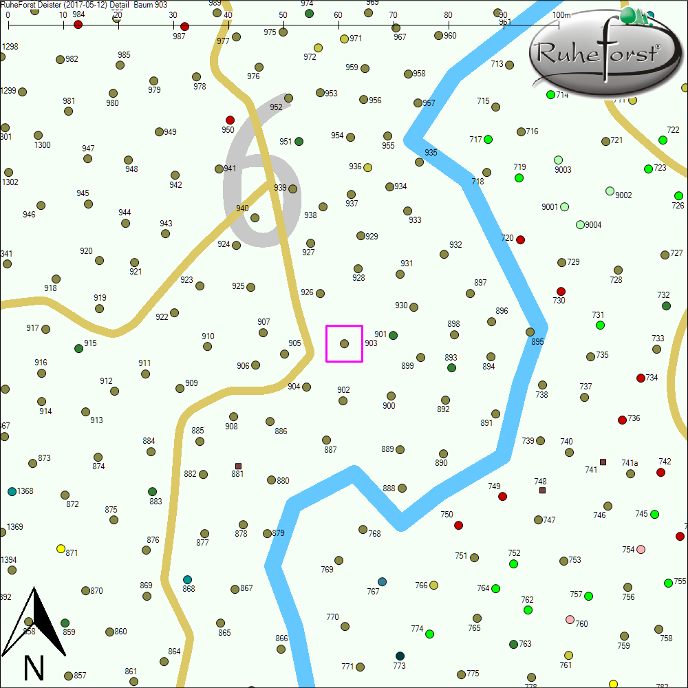 Detailkarte zu Baum 903
