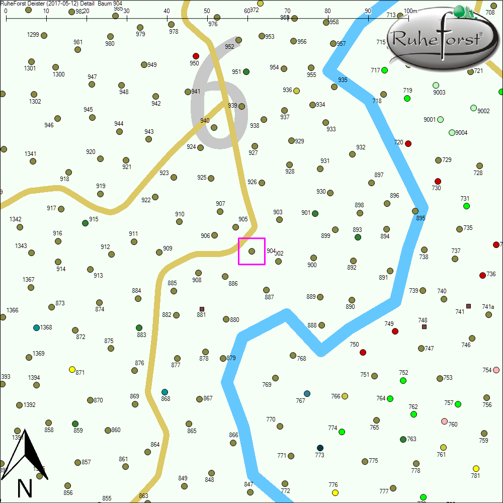 Detailkarte zu Baum 904