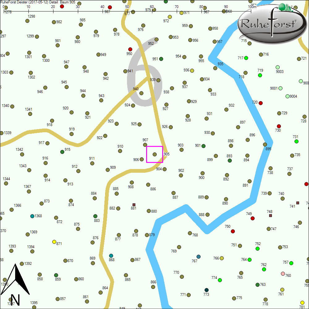 Detailkarte zu Baum 905