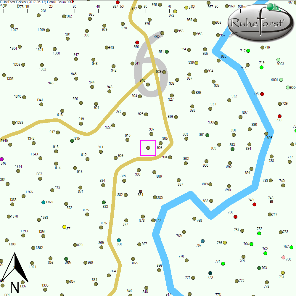 Detailkarte zu Baum 906