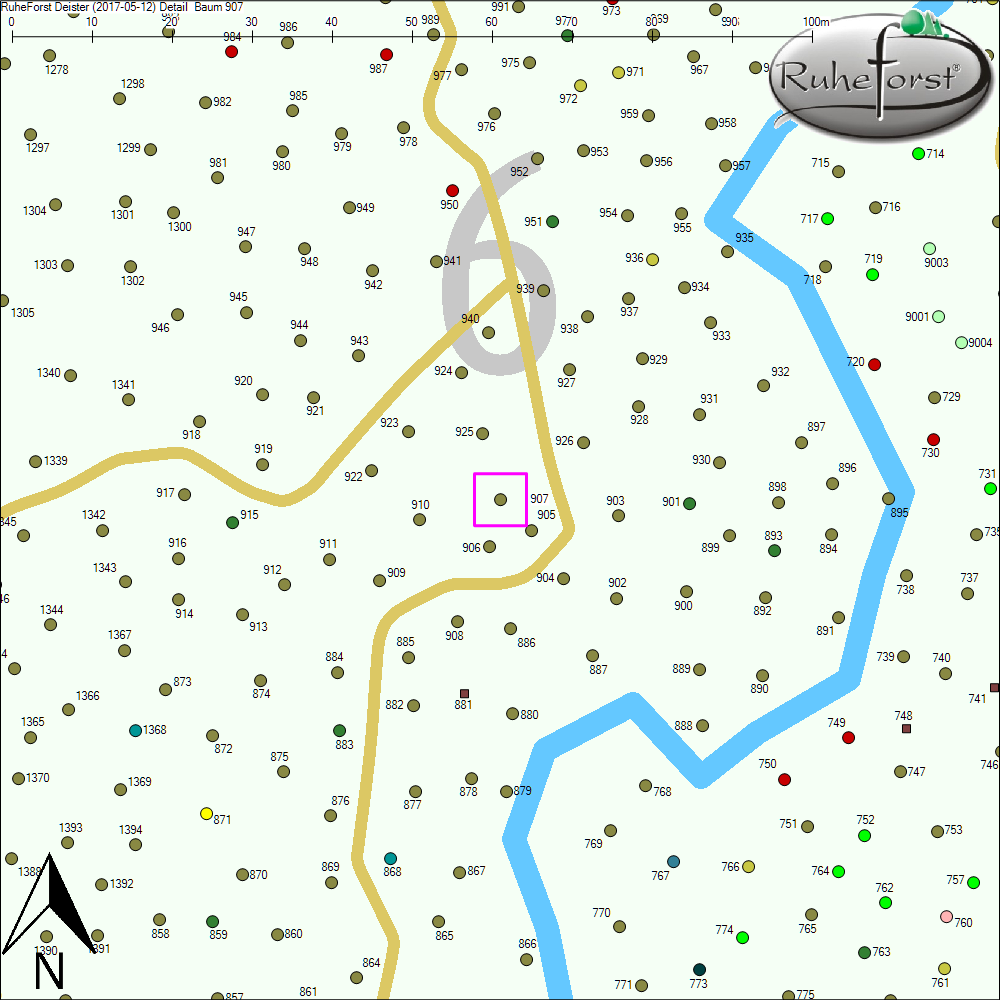 Detailkarte zu Baum 907