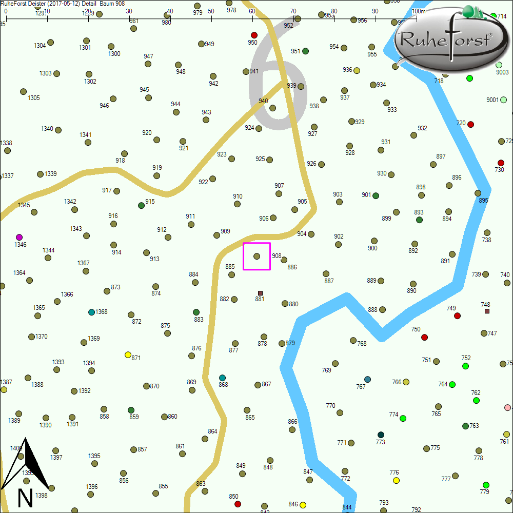 Detailkarte zu Baum 908