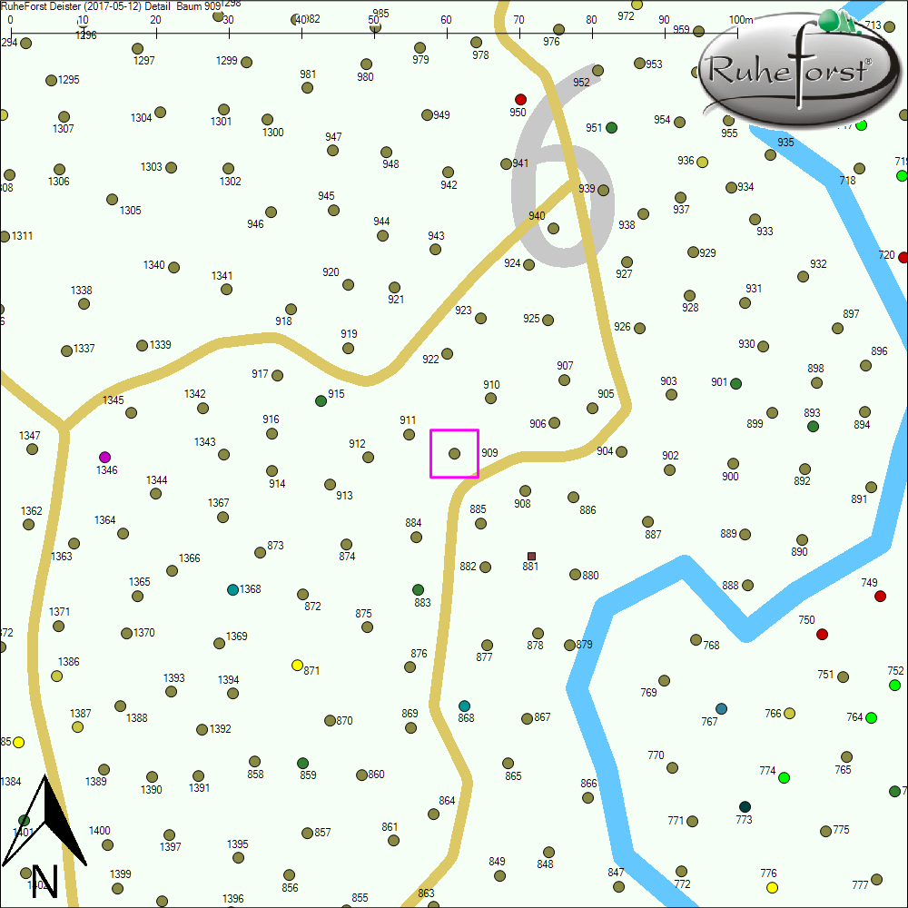 Detailkarte zu Baum 909