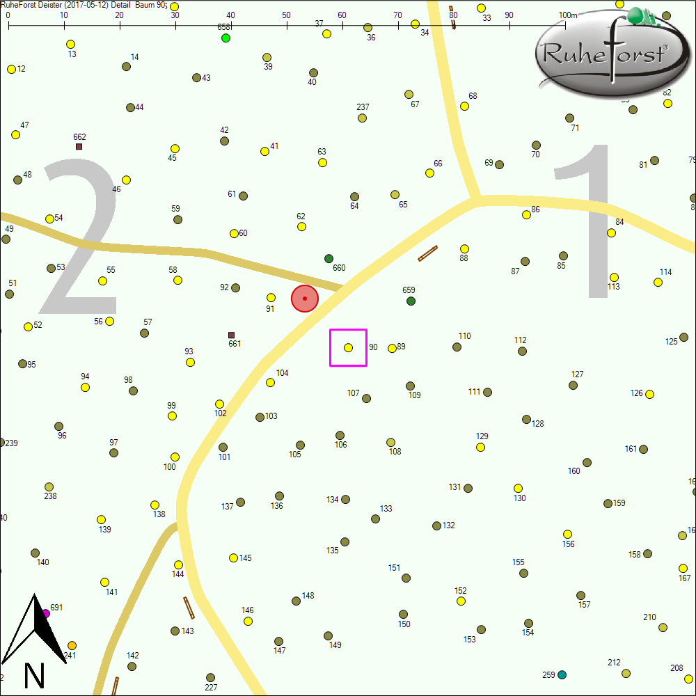 Detailkarte zu Baum 90