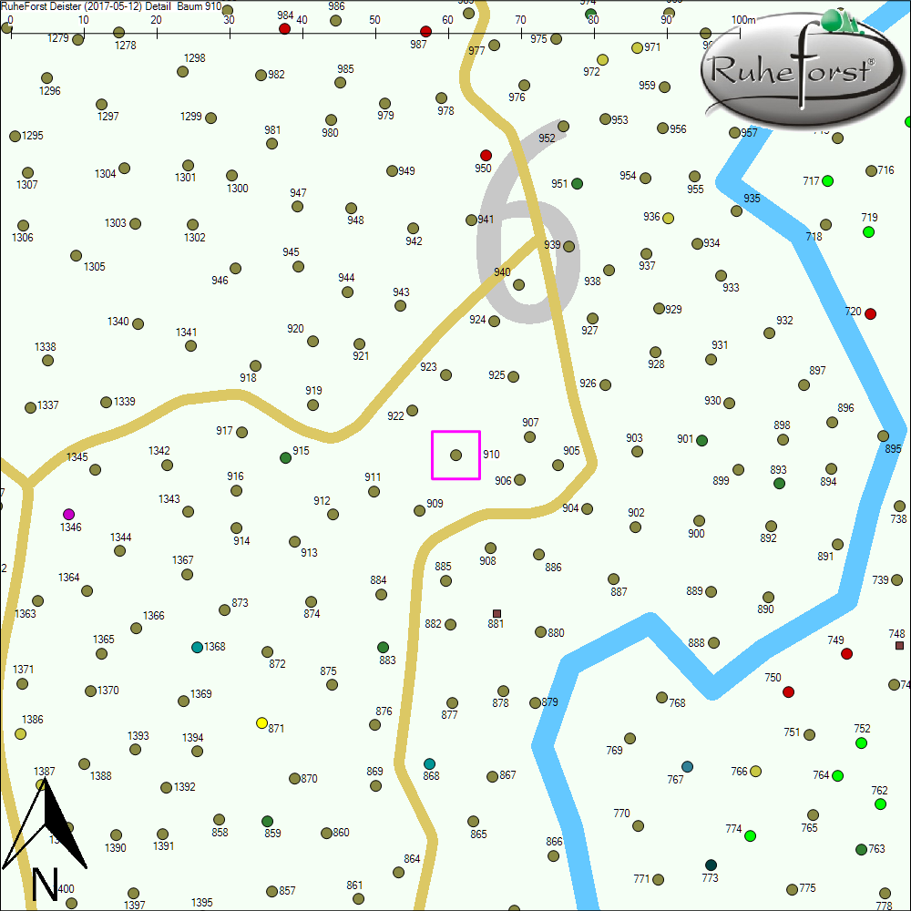 Detailkarte zu Baum 910