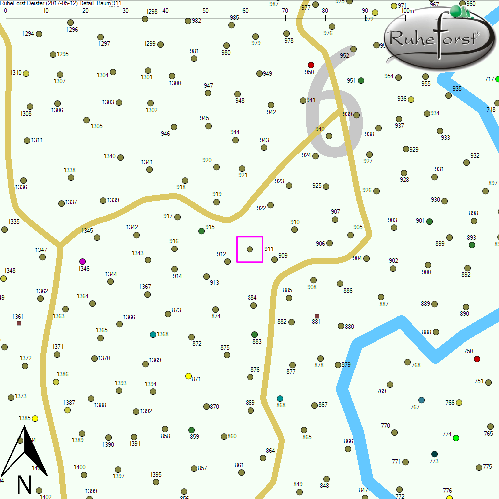 Detailkarte zu Baum 911