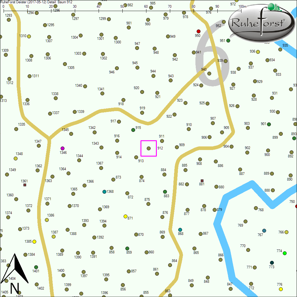 Detailkarte zu Baum 912