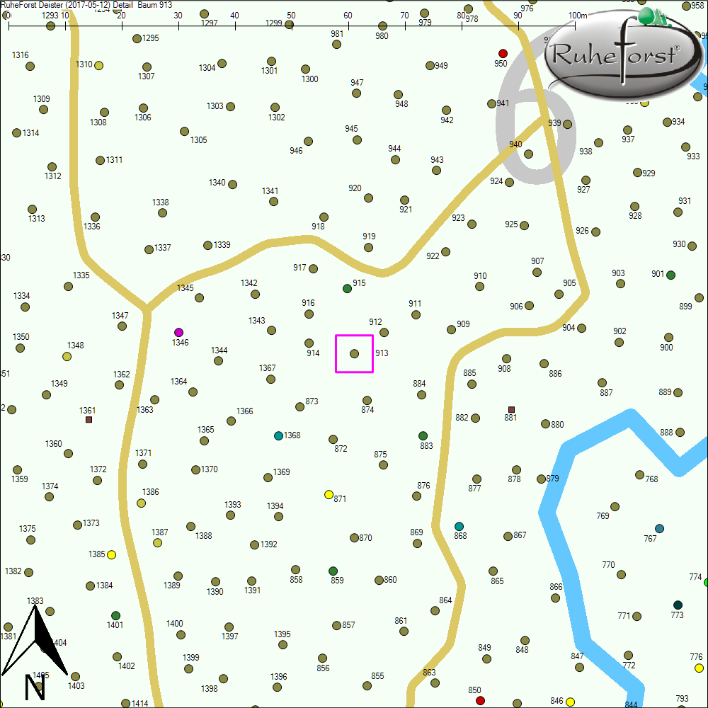 Detailkarte zu Baum 913
