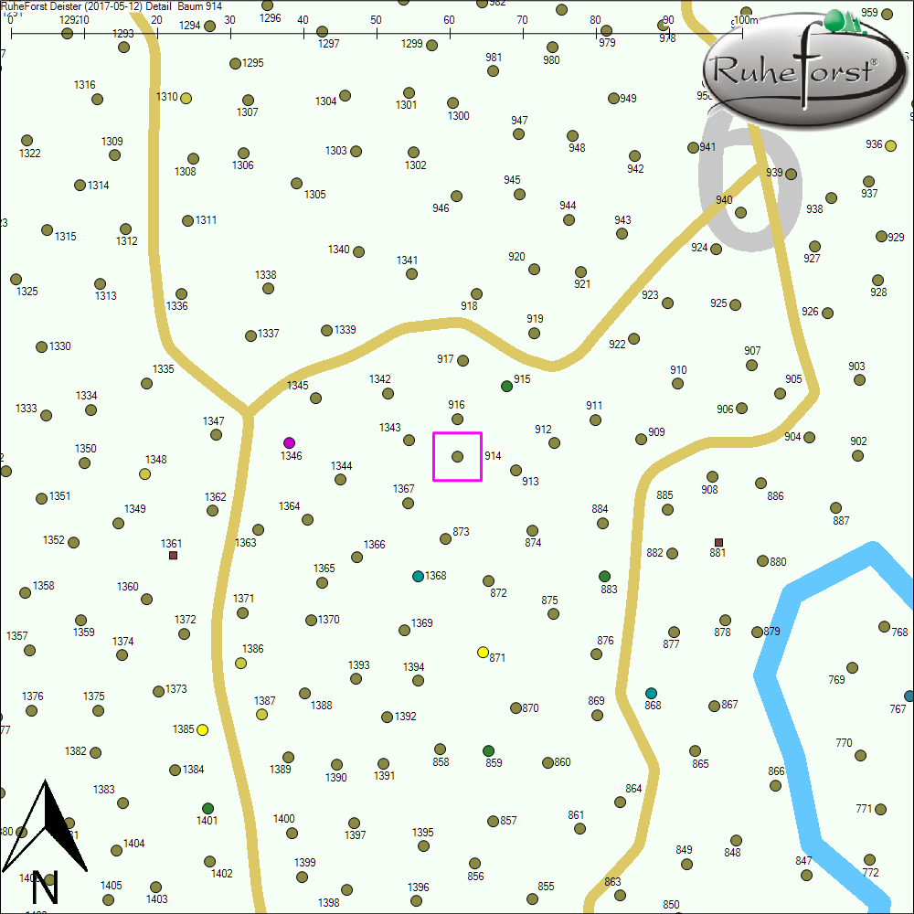 Detailkarte zu Baum 914