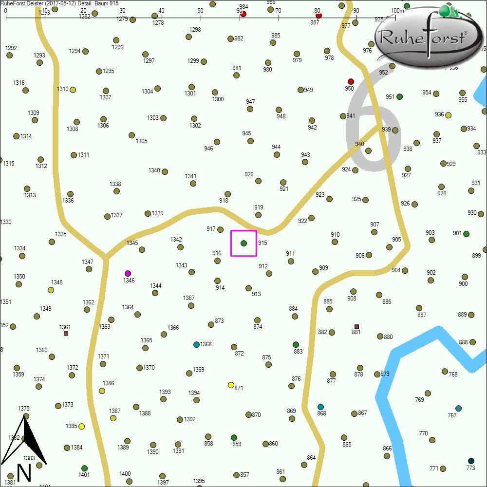 Detailkarte zu Baum 915