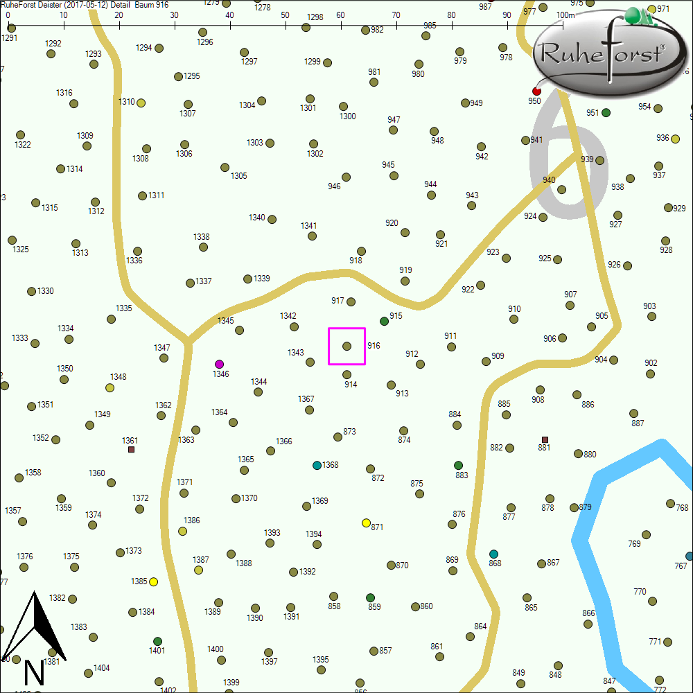 Detailkarte zu Baum 916