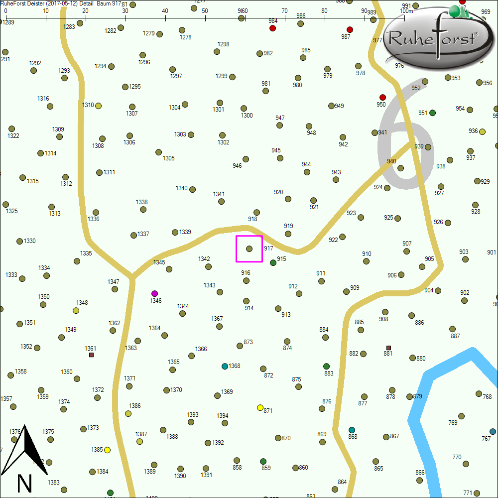 Detailkarte zu Baum 917